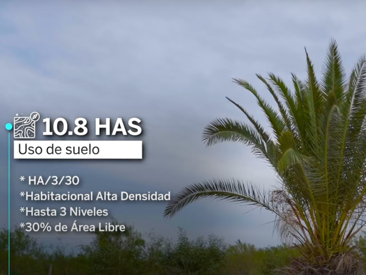 3 de 6