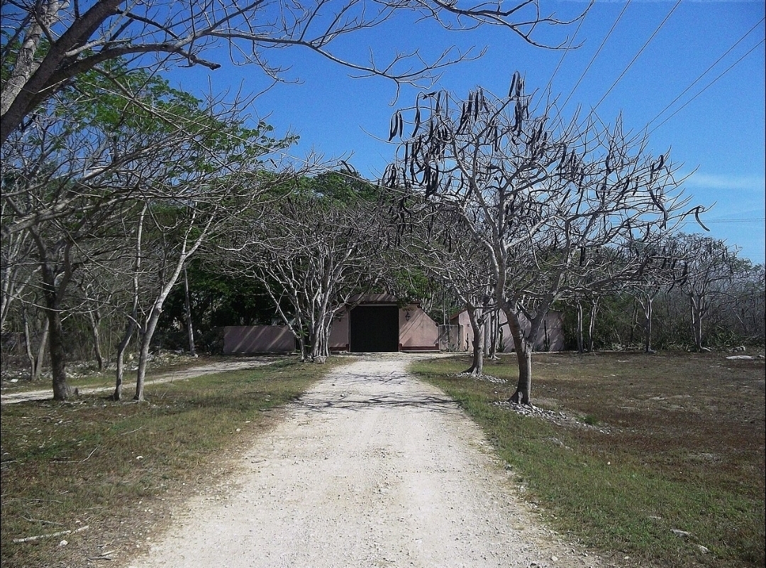 1 de 4
