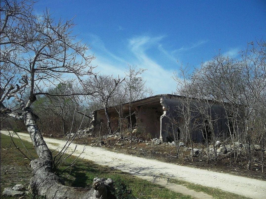 3 de 5