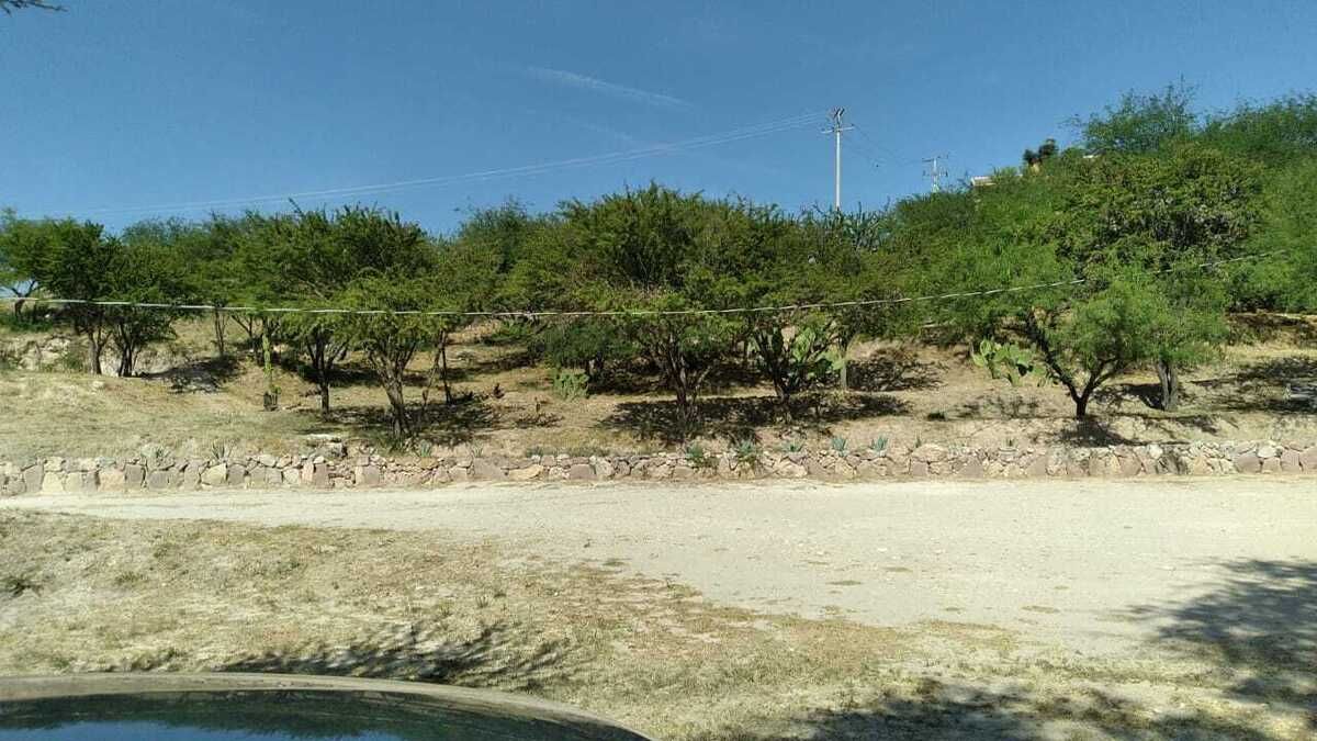 1 de 13