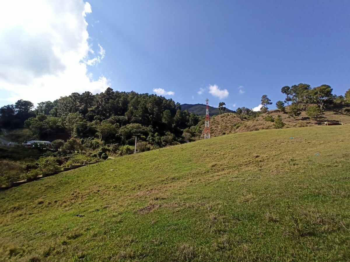 4 de 6