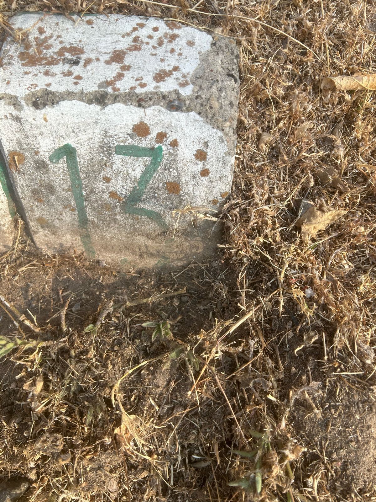 9 de 11