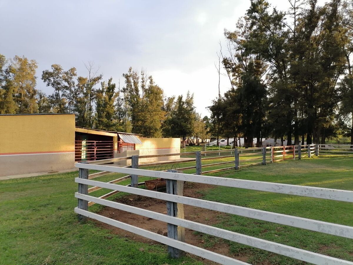 5 de 16