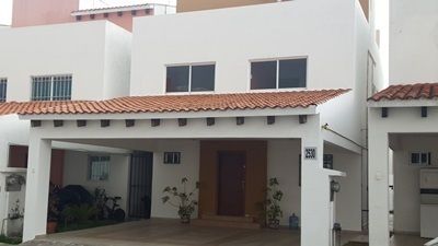 1 de 24