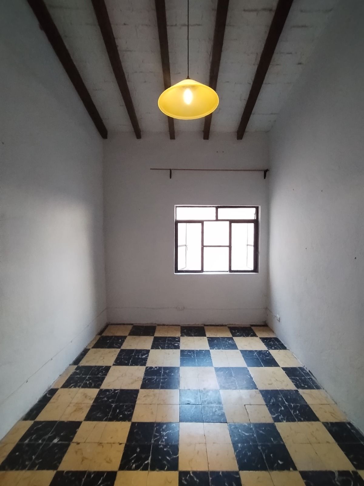 23 de 31