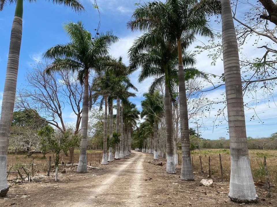 1 de 27