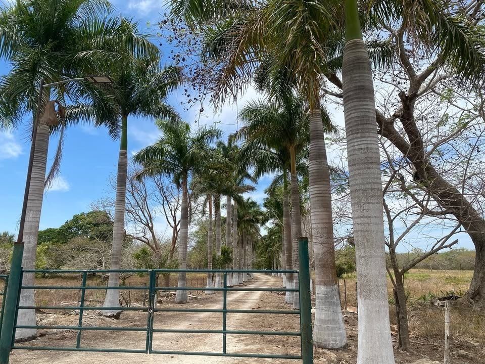 3 de 27