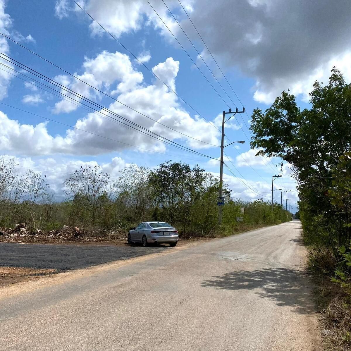 3 de 6