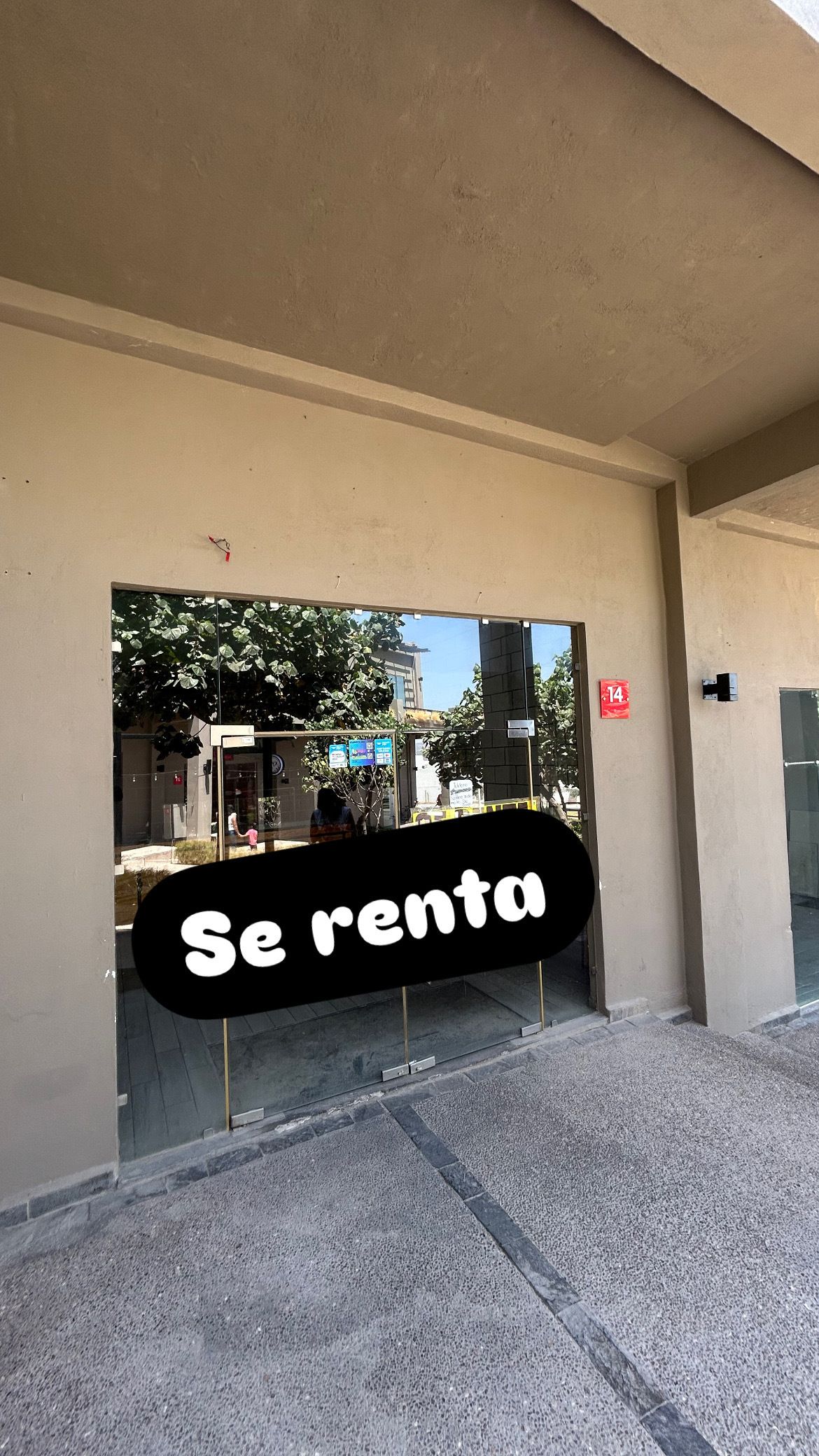 7 de 7
