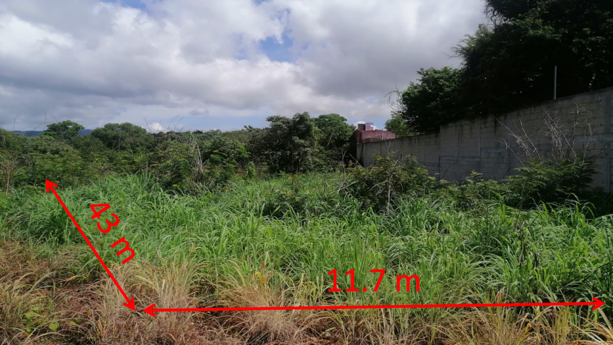 Imagen 2 de 4