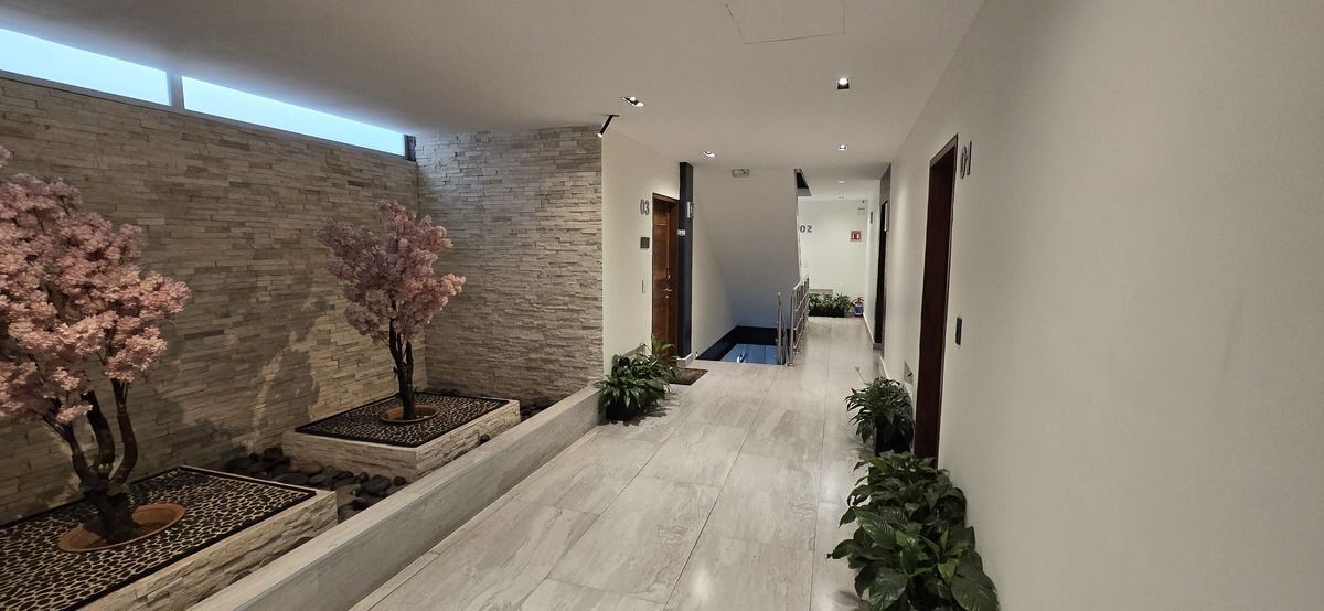3 de 22: Departamento en Renta en Pedregal Rayo Vende ®
