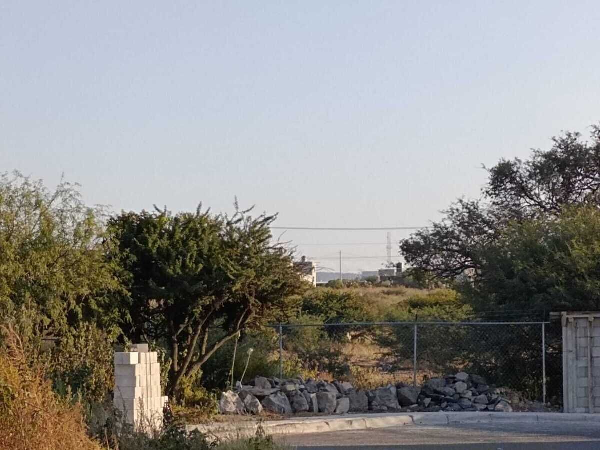 9 de 10