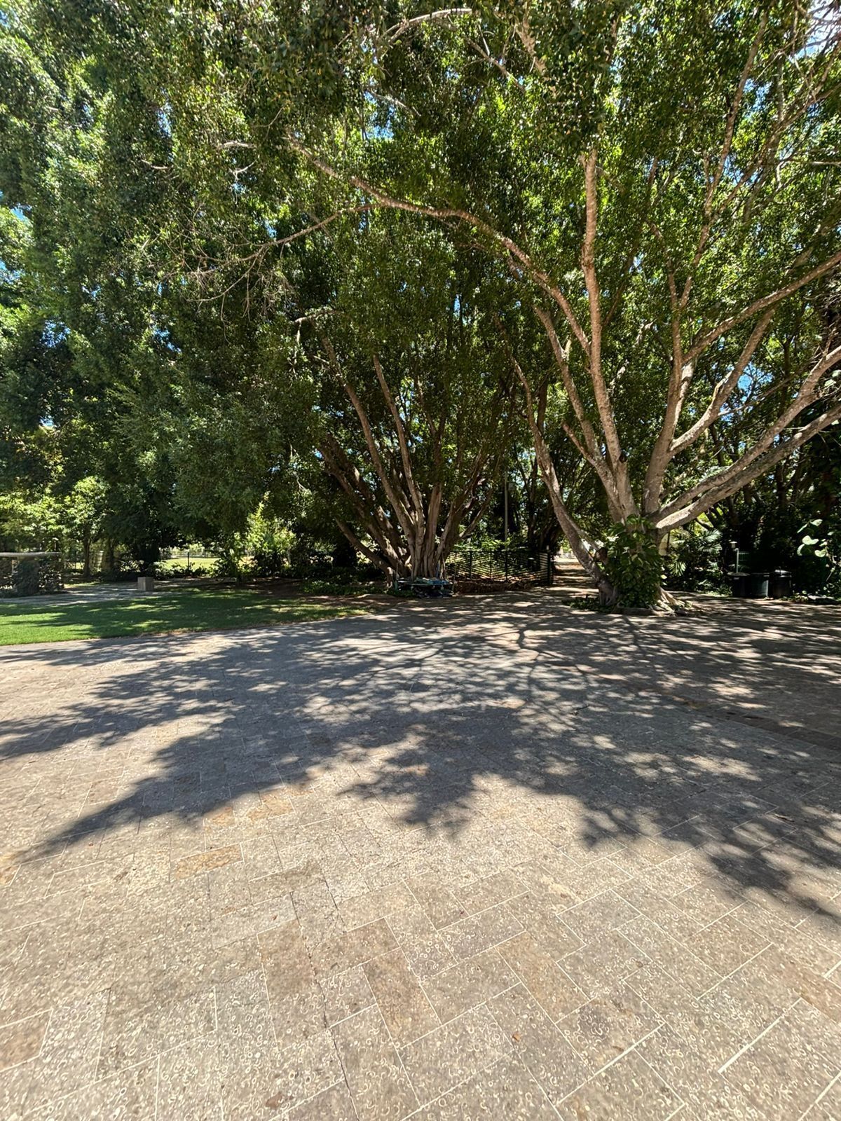 4 of 50