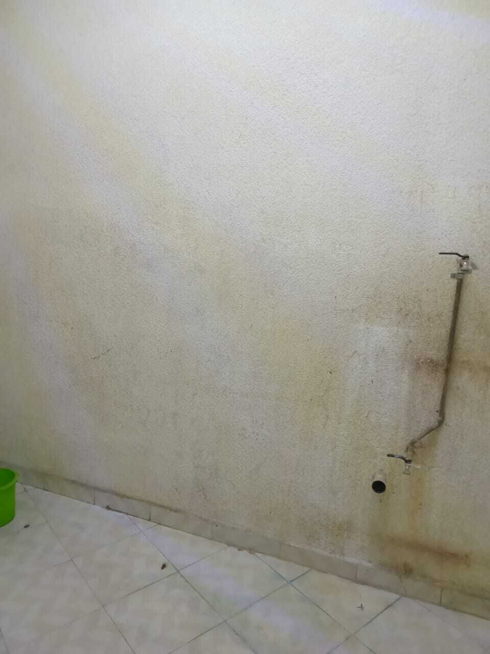 3 de 6