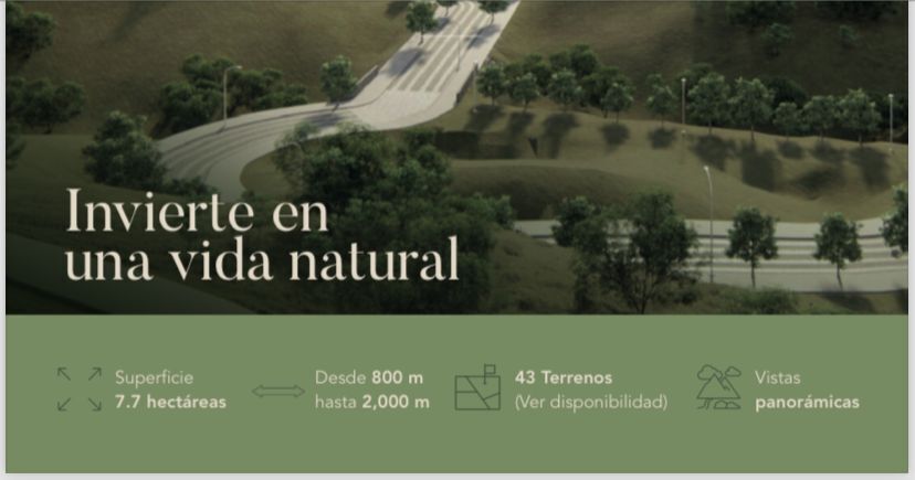 24 de 43