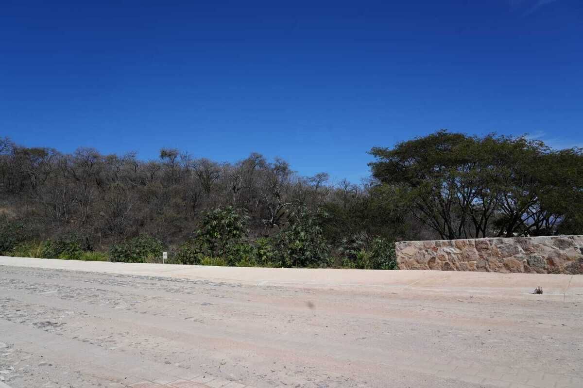 37 de 43