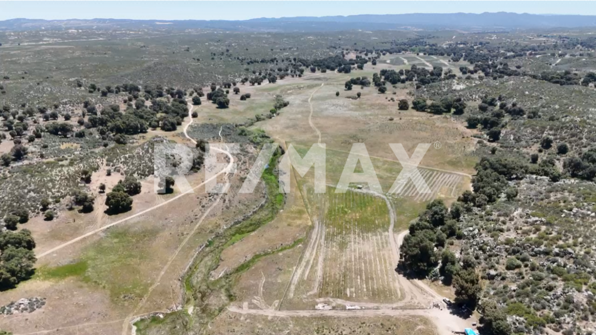 Terreno en Venta de 10 Ha, en el Hongo, B.C.