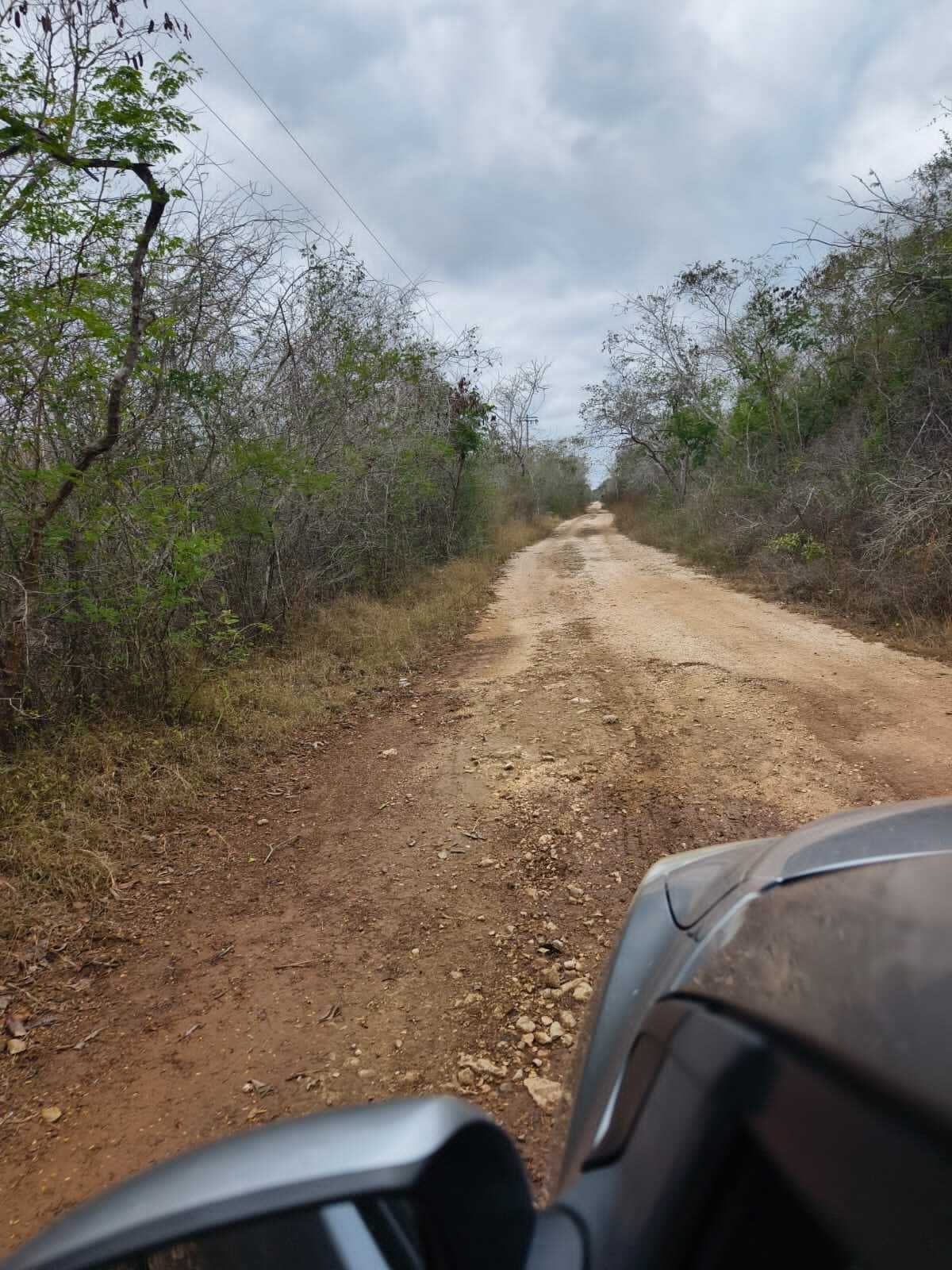 2 de 9
