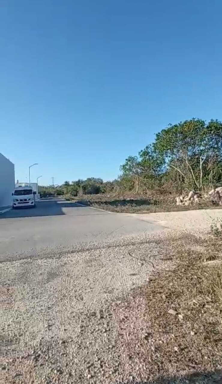 4 de 11