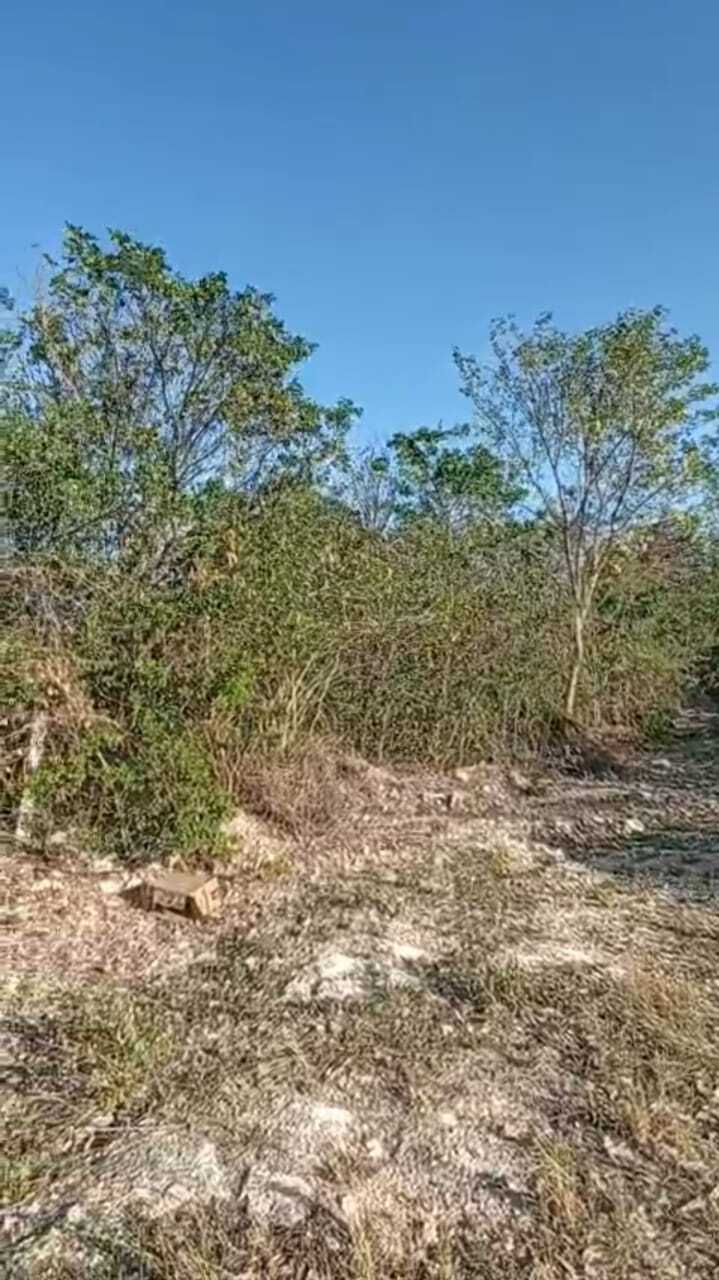 5 de 11