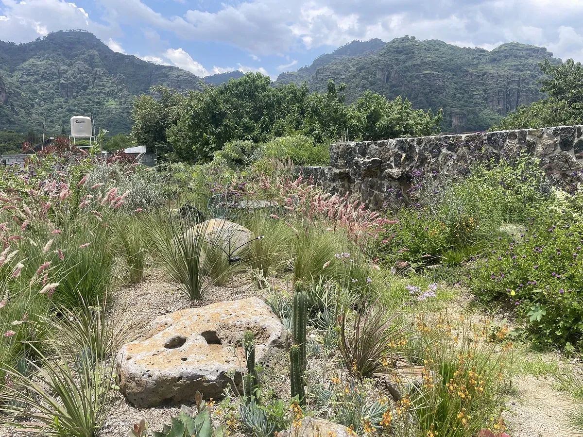 Jardín, foto 15 de 18