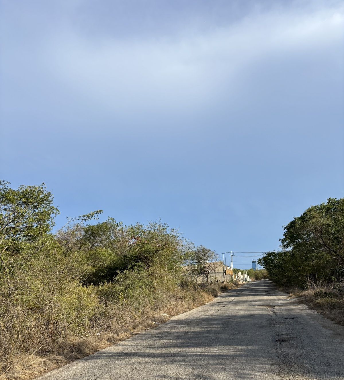 3 de 6