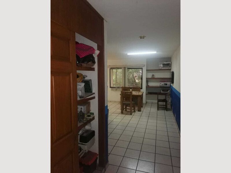 17 de 24
