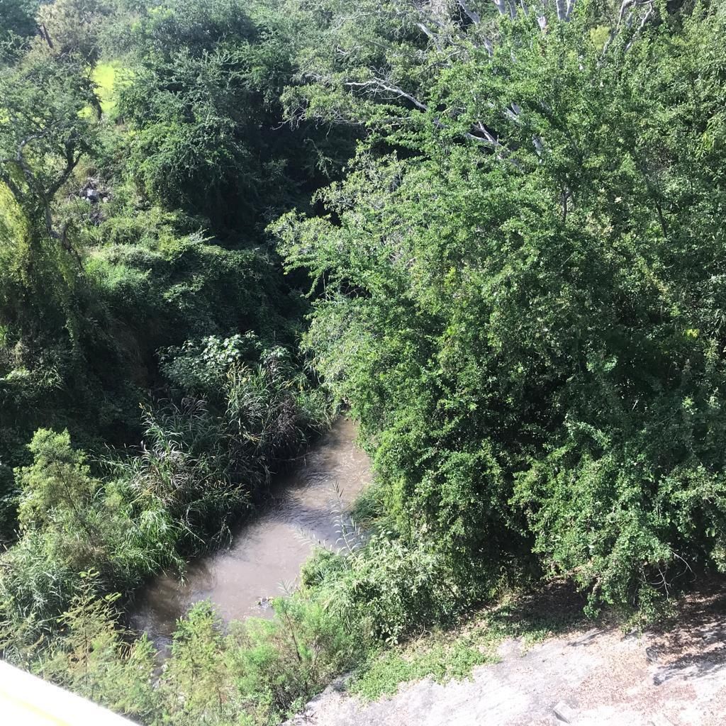 10 de 14