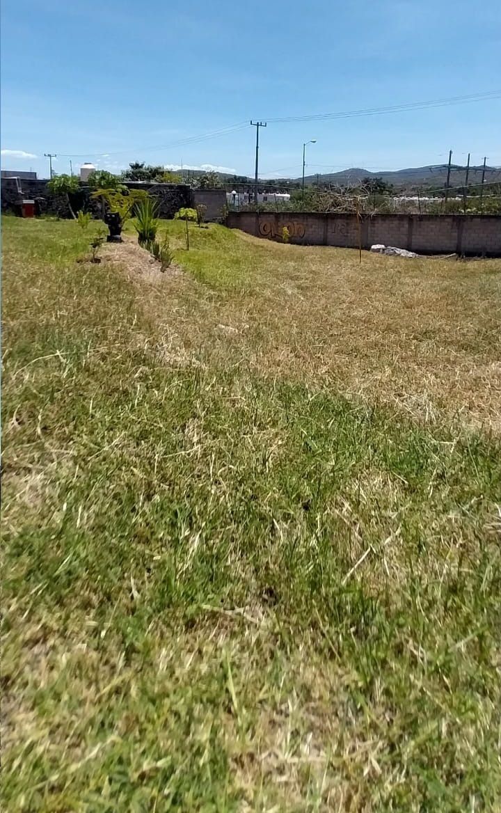 5 of 9