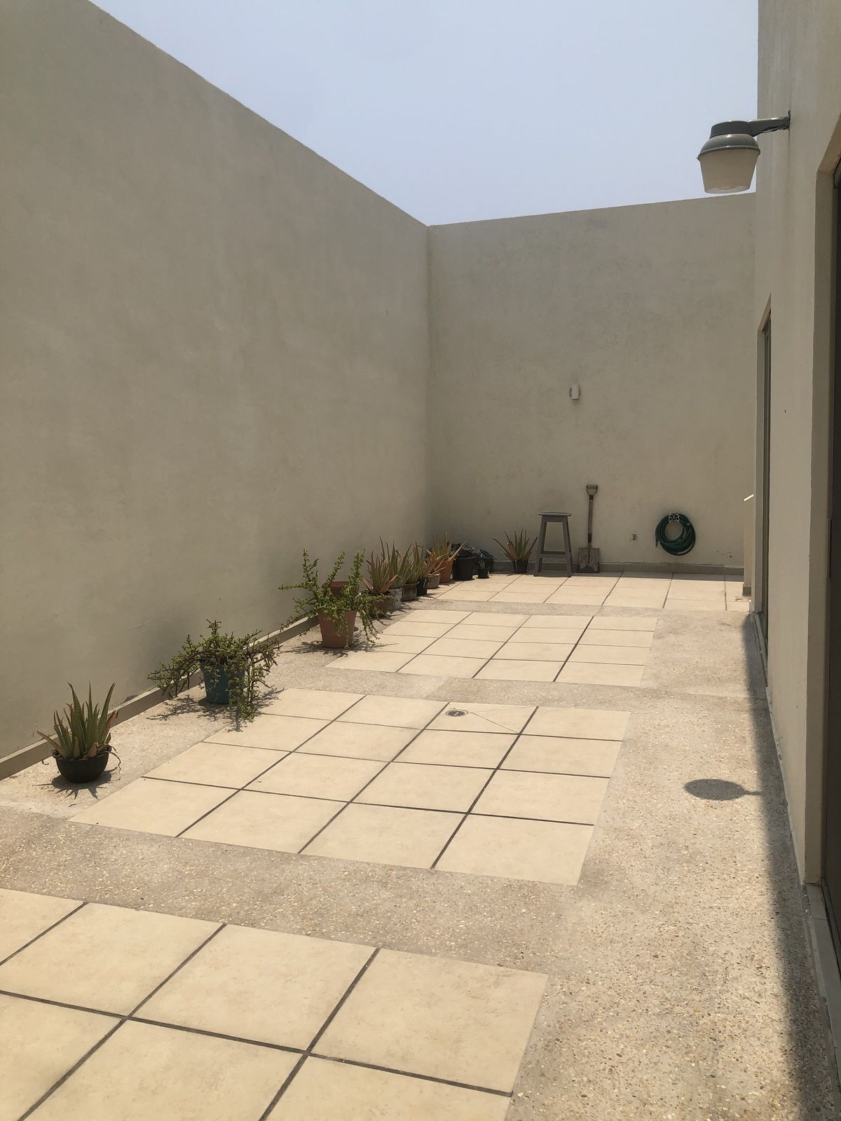 4 of 19: Patio/Jardin