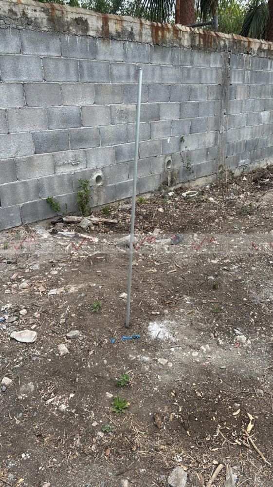 Imagen 3 de 9