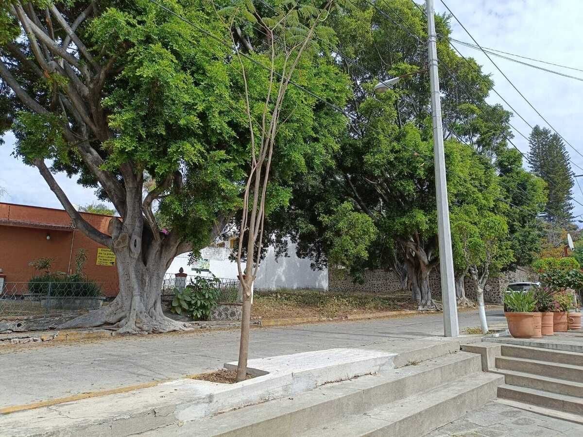 12 de 15