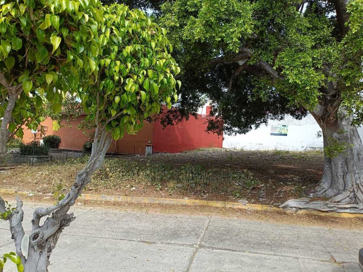 3 de 15