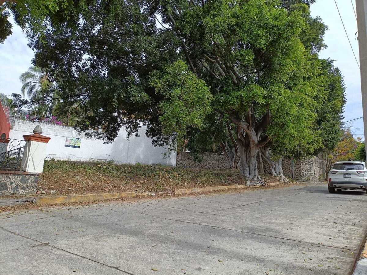 11 de 15