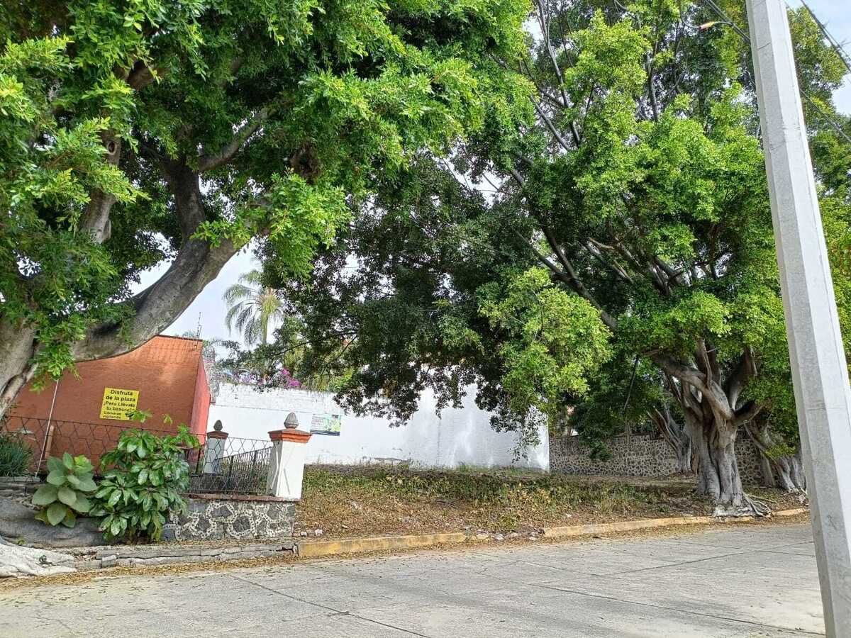 13 de 15