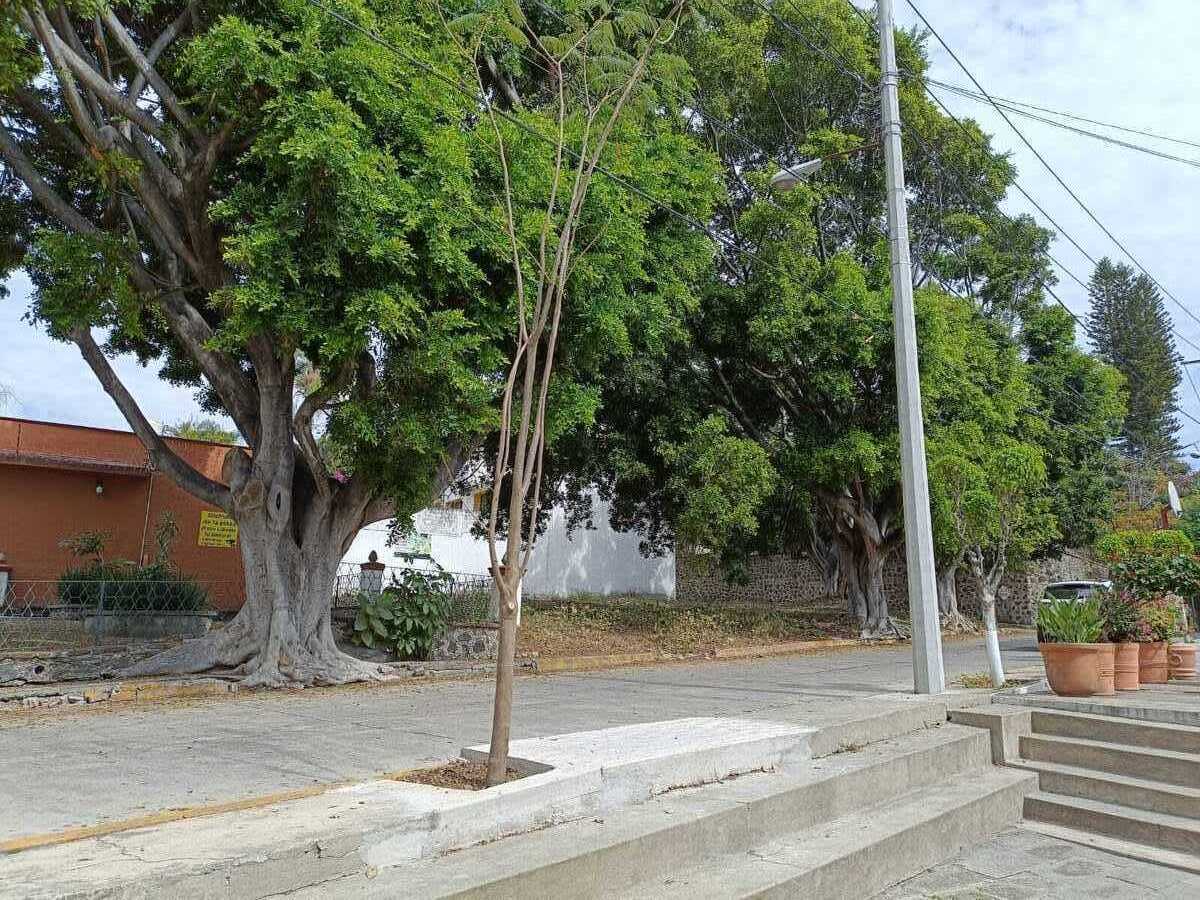 3 de 8
