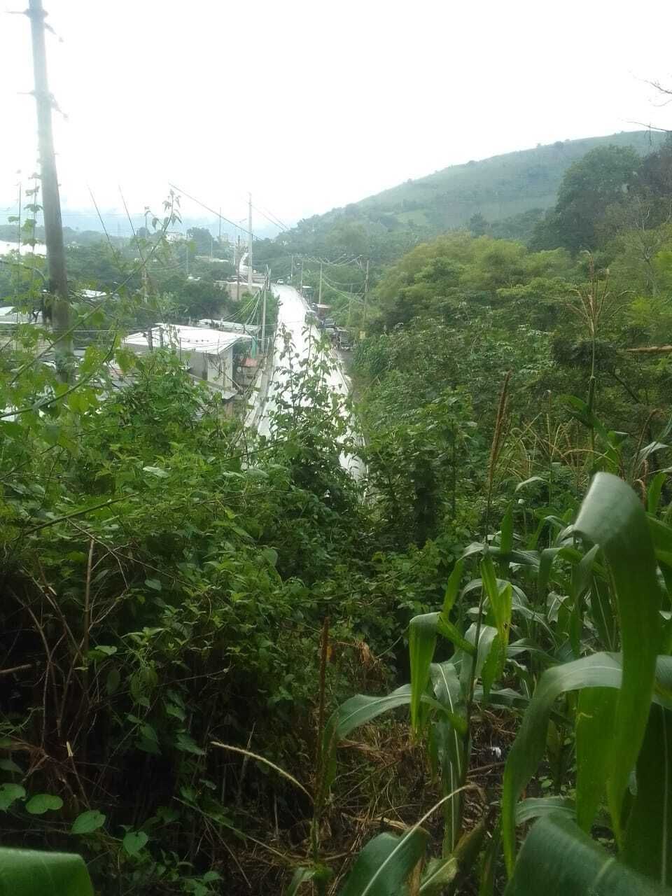 2 de 6