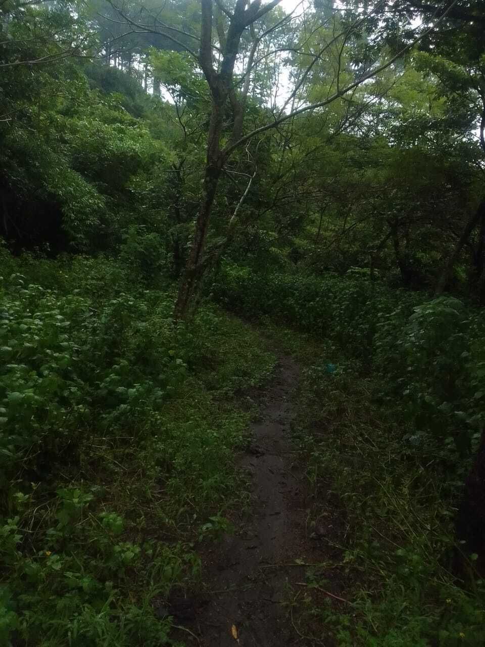 3 de 6