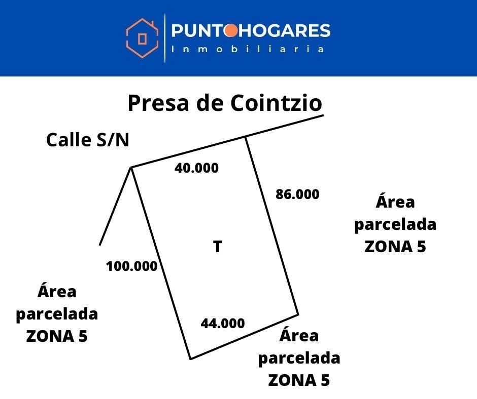 Imagen 2 de 8