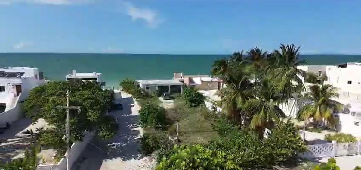 3 de 9