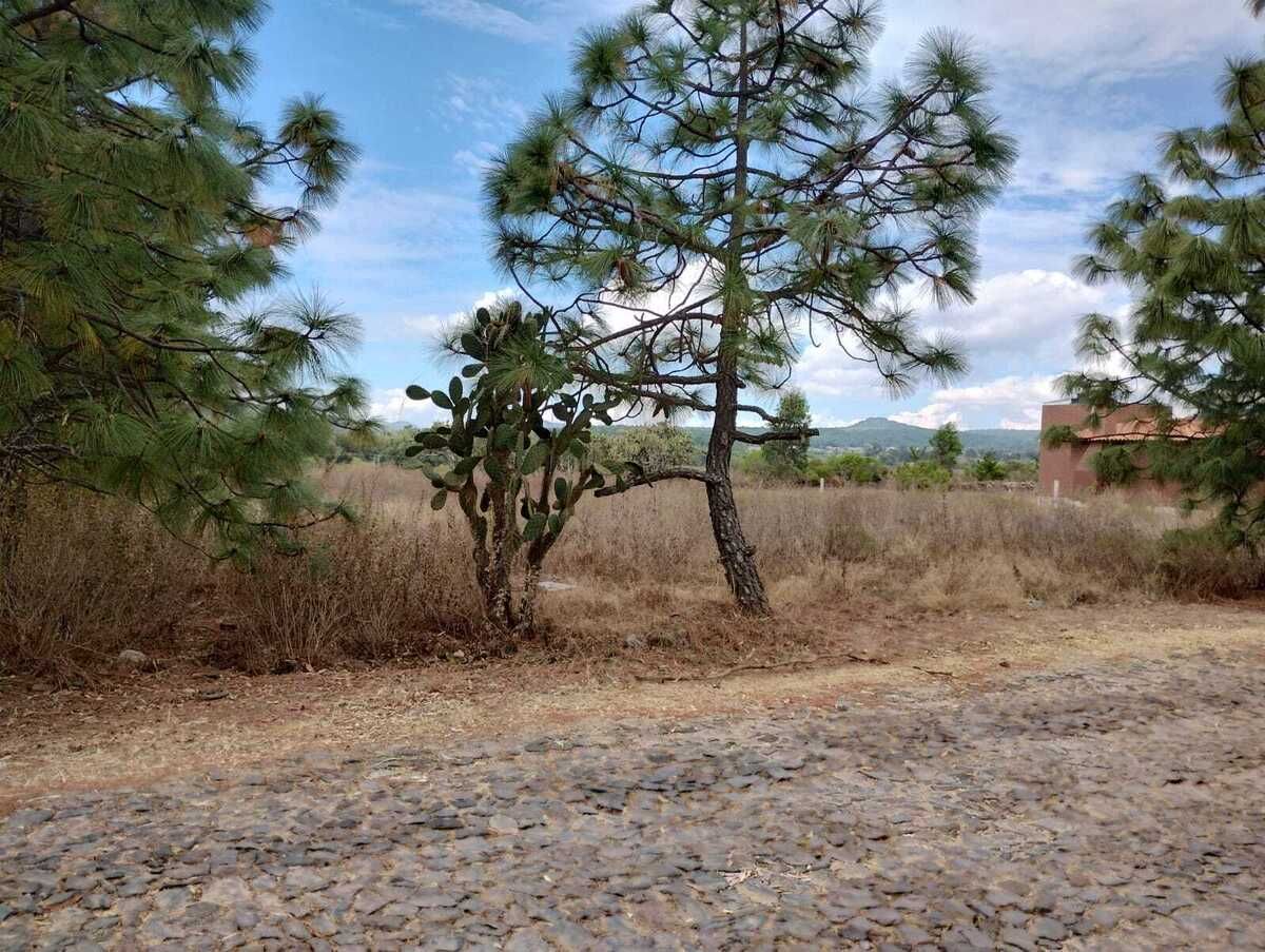 4 de 7