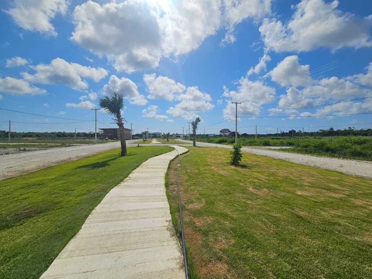 4 de 8