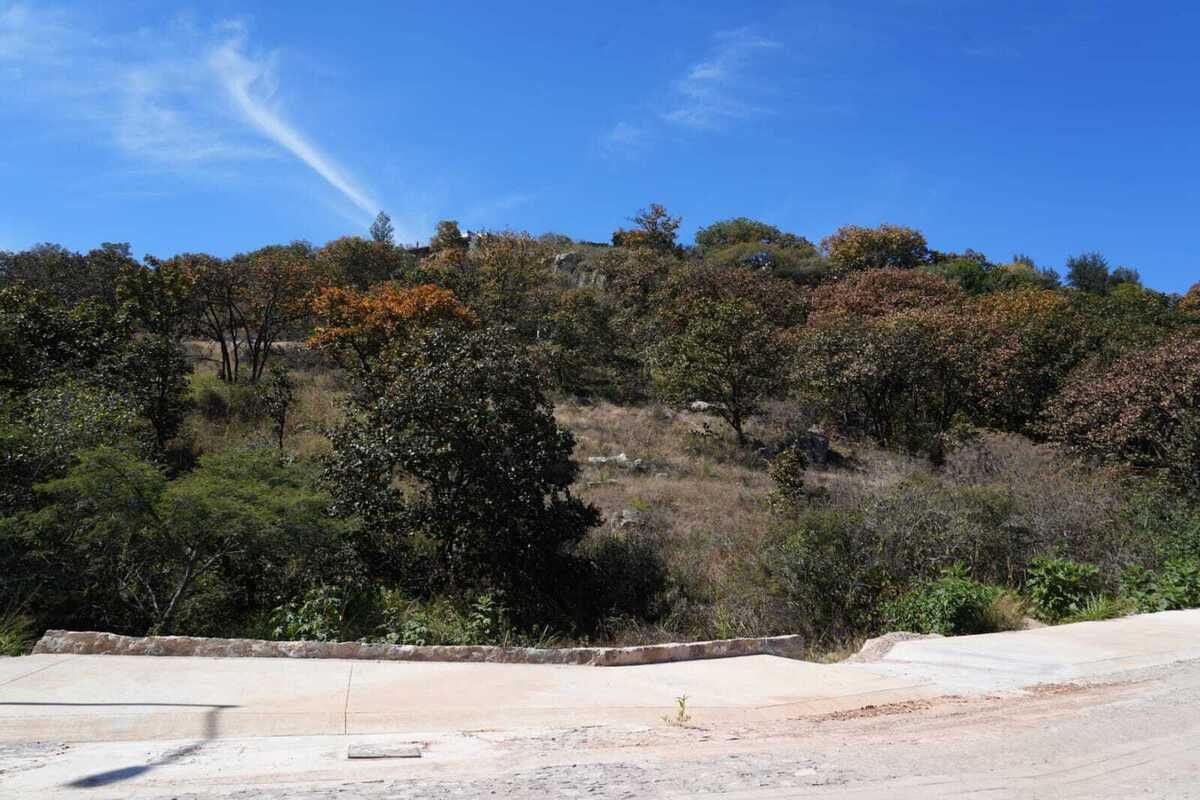 22 de 44