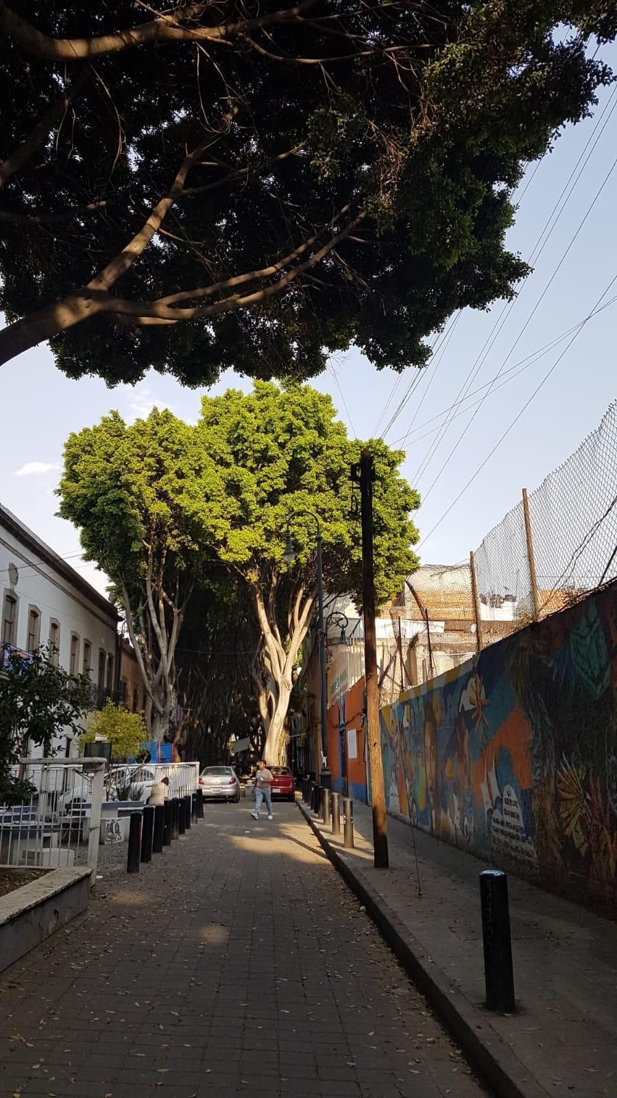 12 de 25