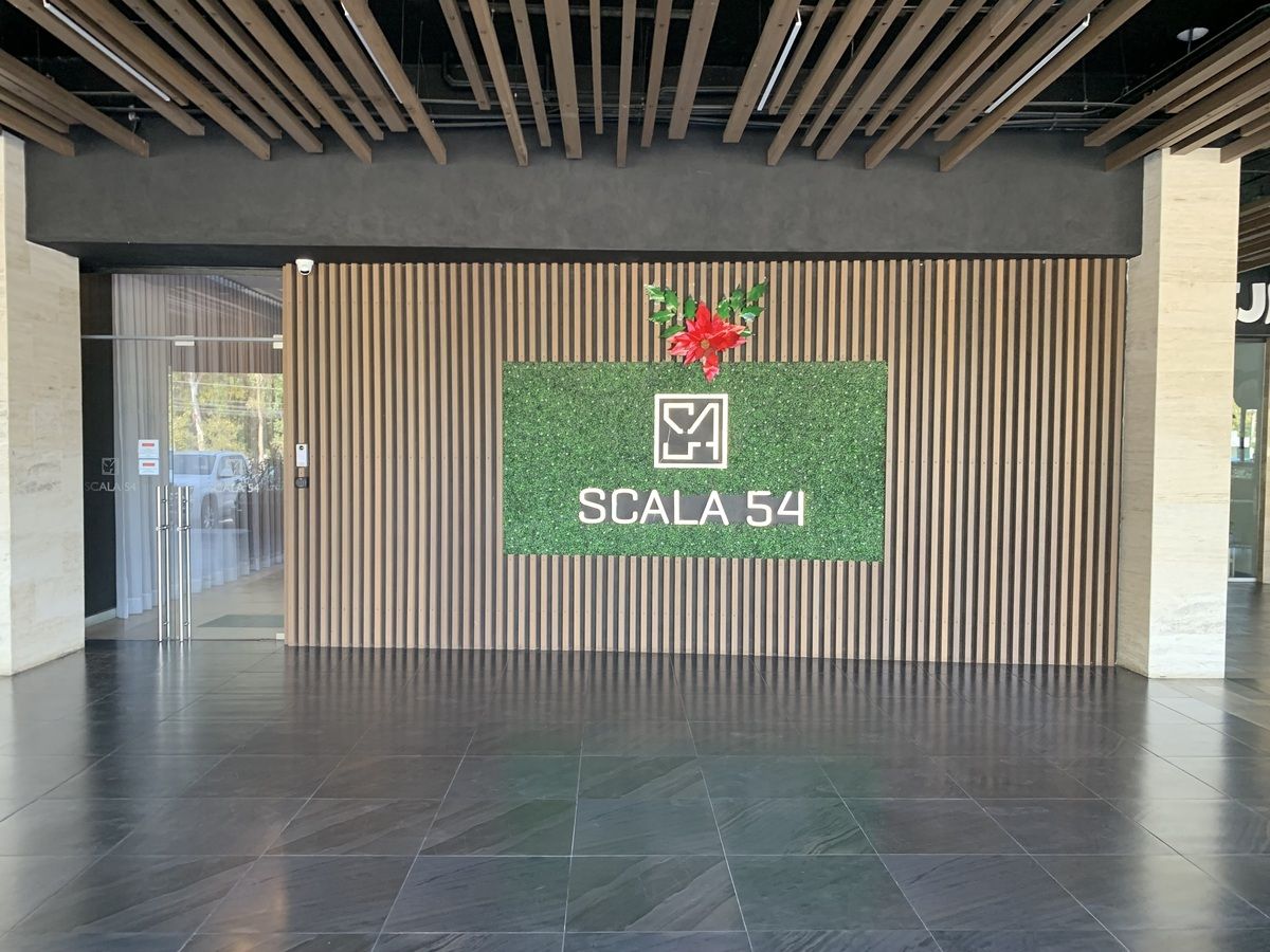 24 de 24