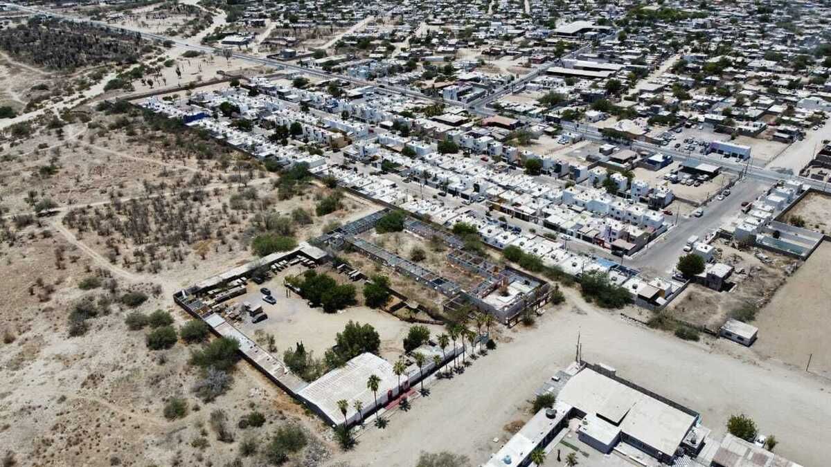 3 de 6