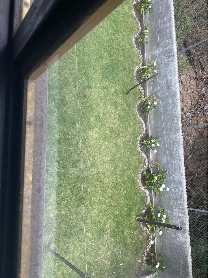 4 de 13