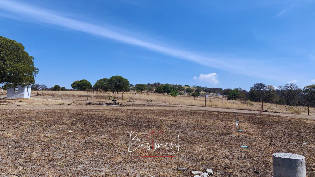2 de 8: Vista terreno