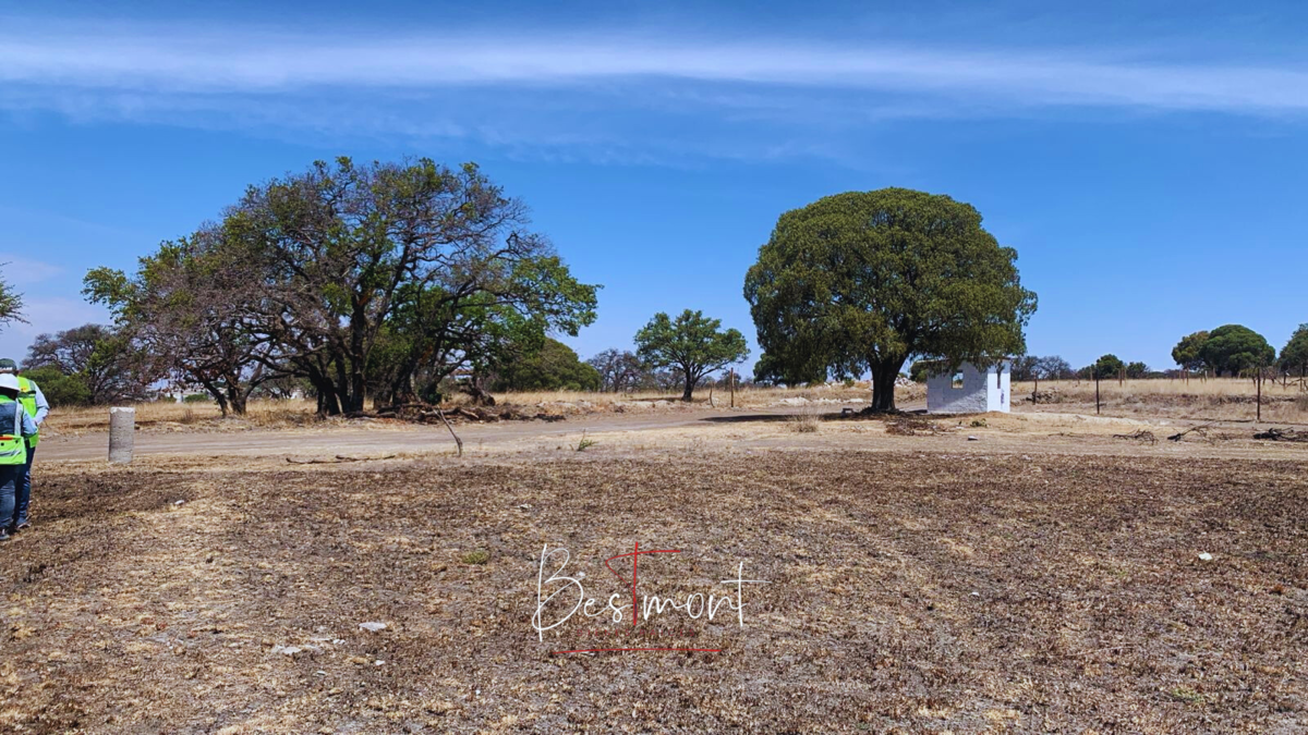 1 de 8: Vista terreno