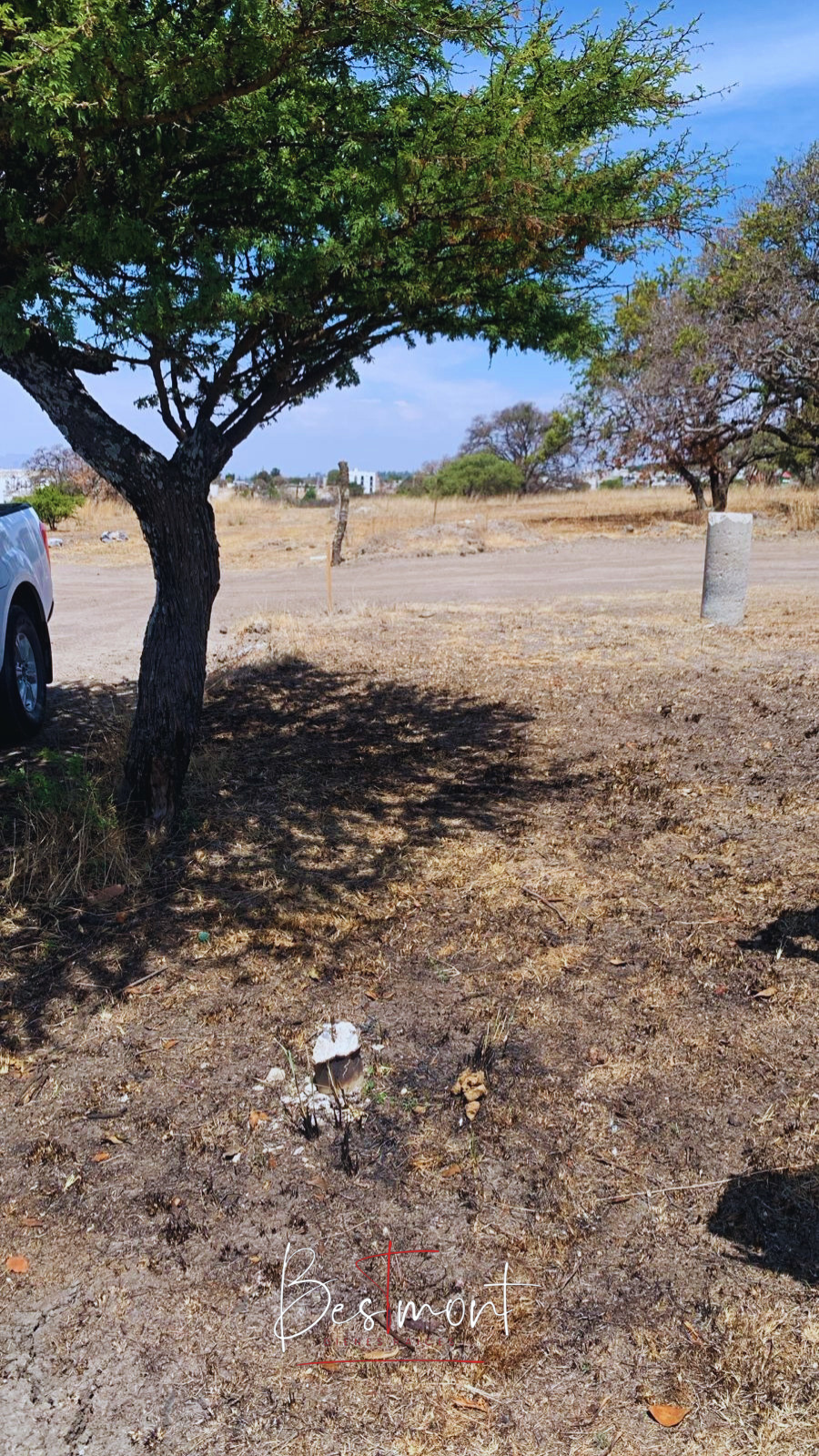 5 de 8: Vista terreno